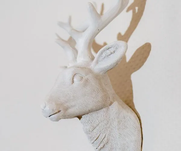 Ξενοδοχείο Sax Imperial 3*